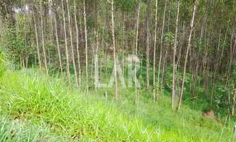 Imagem 5: Lote - Terreno à venda, Centro - Juatuba/MG