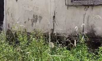 Imagem 3: Venda de Casas / Padrão na cidade de São Paulo