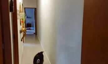 Imagem 12: CASA TÉRREA - JARDIM DAS PALMEIRAS - SP