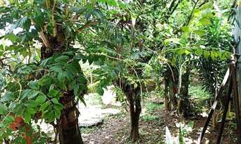 Imagem 3: Chácara com 4 dormitórios à venda, 1000 m² por R$ 600.000,00 - Alam Grai - Rio Claro/SP