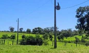Imagem 3: OPORTUNIDADE-Fazenda a 65 km de Palmas 116 alqueires!