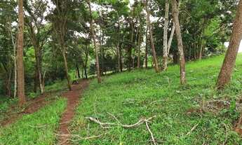 Imagem 2: Chacara de 2,19 alqueires em Terezopolis de Goias