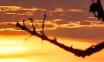 Imagem 2: Vendo tereno de chácara na ponte alta próximo ao clube dos vigilantes