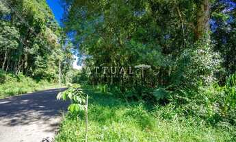 Imagem 4: GRANDE TERRENO NO BAIRRO VILA SUZANA