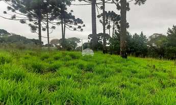 Imagem 4: Vendas Área Colombo PR