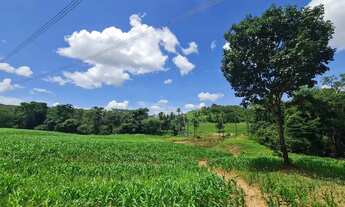 Imagem 3: Fazenda de cria e recria, 105 alqueires , Vila Propício, GO