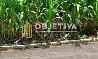 Imagem 2: Terreno à venda, Farropilha, Ivoti, RS