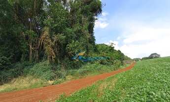 Imagem 2: Chácara à venda, 13000 m² por R$ 120.000,00 - São José - Corbelia/PR