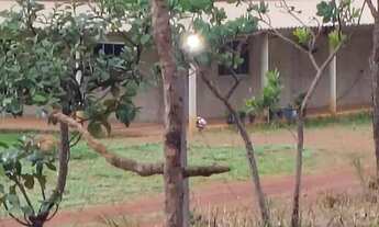 Imagem 6: Vendo tereno de chácara na ponte alta próximo ao clube dos vigilantes