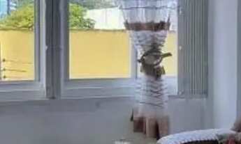 Imagem 6: APARTAMENTO - CENTRO - SC