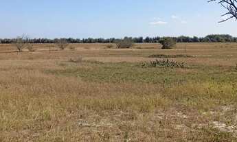 Imagem 7: Vendo excelente área industrial, na RJ 240 Campo da Praia