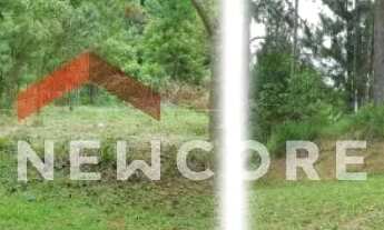 Imagem 4: Sítio em Rua Estrela DOeste - Portal do Santa Paula - Cotia/SP