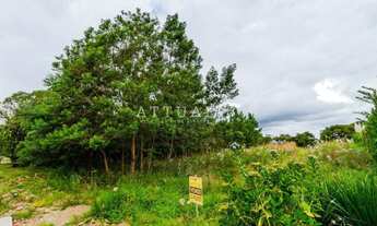 Imagem 4: TERRENO DOS SONHOS: VISTA PERMANENTE PARA O VALE