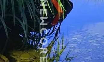 Imagem: Lote em condomínio em Estrada Bento Osvaldo