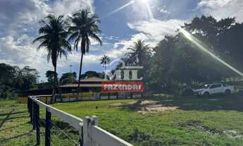 Imagem 3: Fazenda 16,6 alqueires (80,3 hectares) Pirenópolis - GO