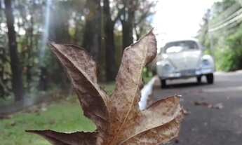 Imagem 7: Terreno - Bairro Vale dos Pinheiros