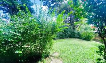 Imagem 4: Já pensou morar em meio a muito verde em amplo terreno a 50 passos da Av Lucas?