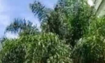 Imagem: Apartamento em Avenida das Américas - Recreio