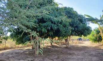 Imagem 5: CHÁCARA à VENDA - 1.000 m² | CONDOMÍNIO