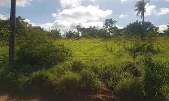 Imagem 2: Lote Águas Virtuosas