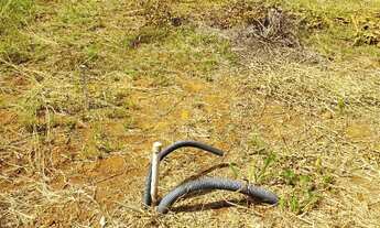 Imagem 3: Ponte Alta DF 475 Lote 400