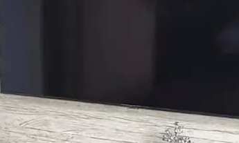 Imagem 2: Apartamento Mobiliado para aluguel com 3 quartos em Umarizal - Belém - PA