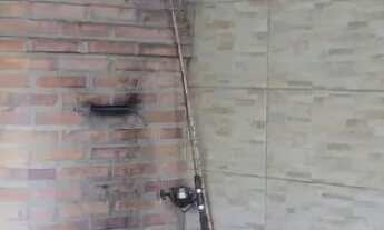 Imagem 5: Imóvel para venda possui 253 metros quadrados com 4 quartos em Rio Branco - Belo Horizonte