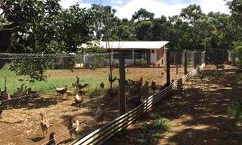 Imagem 6: Vendo chacara formada a 2 km da lagoa formosa