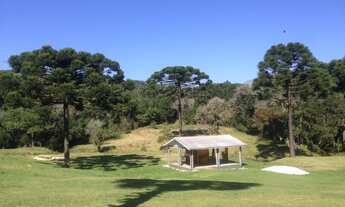Imagem: Sitio Maravilhoso 10 alqueires 50 km Curitiba-PR