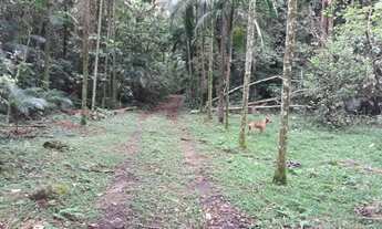Imagem 6: Sítio à venda em Joinville/SC