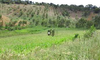 Imagem 5: Fazenda com 5 dormitórios à venda, 1100000 m² em - Argirita/MG