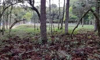 Imagem 5: LINDA CHÁCARA EM BOCAIUVA DO SUL