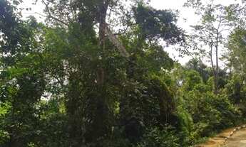 Imagem 3: Lote/Terreno para venda possui 930m² com vista total para o mar no bairro Feiticeira - Ilh