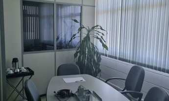 Imagem 4: Galpão, Vila Indiana - São Paulo