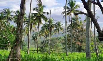 Imagem 4: Vendo Área (sitio) na Estrada da Cabrita - São Cristóvão-Se