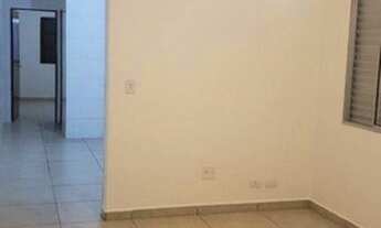 Imagem 2: ASSOBRADADA PIRITUBA