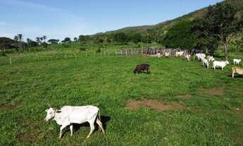 Imagem 2: Vendo chácara de 12 alq em Palmas TO