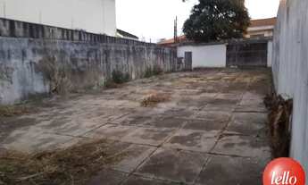 Imagem 6: São Paulo - Terreno Padrão - Tucuruvi