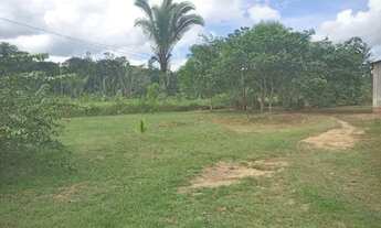 Imagem 2: VENDO CHÁCARA !