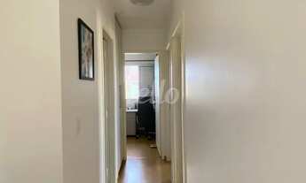 Imagem 5: São Paulo - Apartamento Padrão - Cachoeirinha
