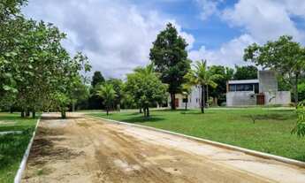 Imagem 5: Lotes 51 e 52 do condomínio BounganviIIe. Recife-PE caminho de Aldeia