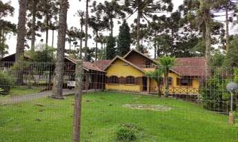 Imagem 3: CANELA - Casa Padrão - Jardim dos Pinheiros II