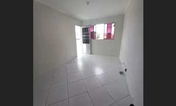 Imagem 3: Prive Pau Amarelo