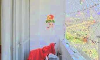 Imagem 5: Guarulhos - Apartamento Padrão - Vila Rosália