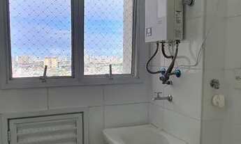 Imagem 4: Arboris Jabotiana