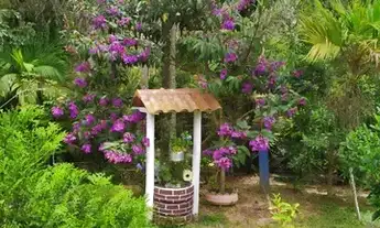 Imagem 4: Sítio em Aracê - Domingos Martins, ES