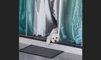 Imagem 4: Ágio ou Quitada casa 3 quartos com suite