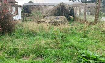 Imagem: Terreno no Centro de Canela!