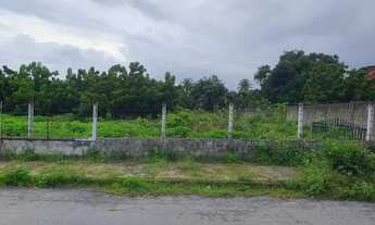 Imagem 5: Terreno Comercial em frente a Maple Bear