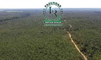 Imagem 6: Fazenda 210 Alqueires Agricultável Proximo Palmas